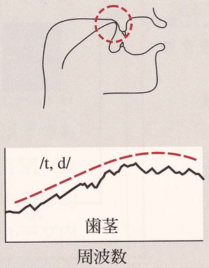 喉に関するページ 藤村耳鼻咽喉科医院【えるむプラザ3F】
