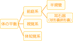 体のバランスの取り方