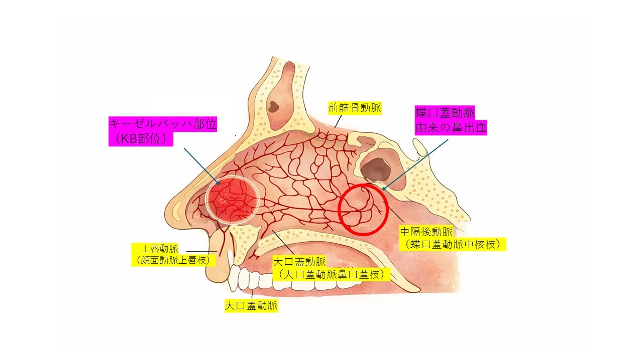 症状別改善率